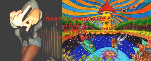 синтетический гашиш Новозыбков